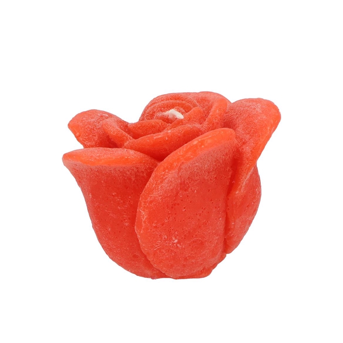 <h4>Candle Roos Orange 8x7cm</h4>