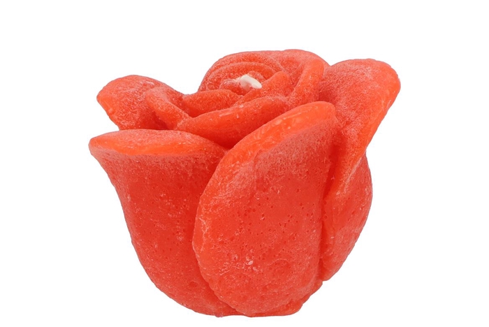 <h4>Candle Roos Orange 8x7cm</h4>