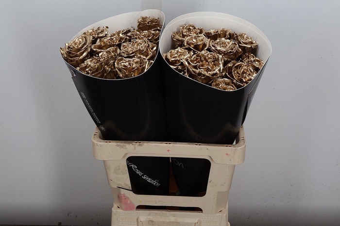 <h4>Wax-Rozen Wax Exclusief Goud</h4>