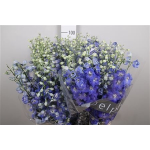 Delph Du Blue Emerald