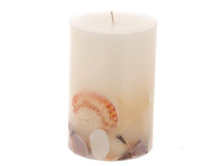 Candle Beach Shell H15d10