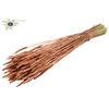 Triticum per bunch Copper