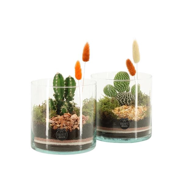 <h4>41680: Treasure time arrangement</h4>