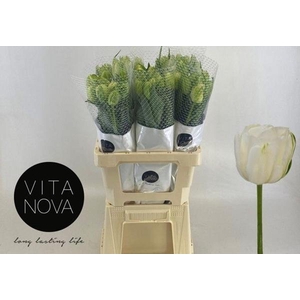 TU DU MAUREEN DOUBLE