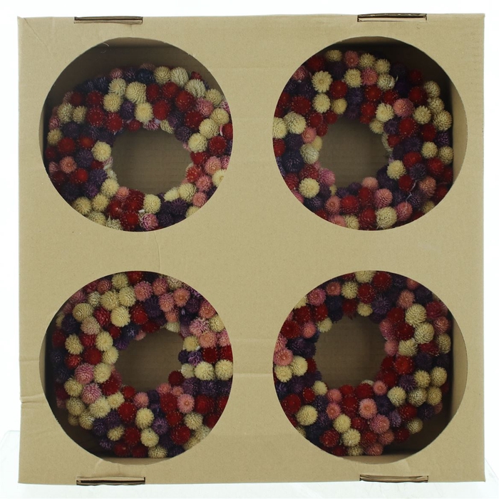 <h4>Wreath Dried Gomphrena Mix</h4>