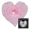 Corazon Pin99