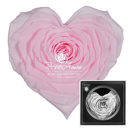 Corazon Pin99