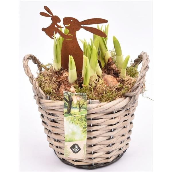 <h4>Wilg mand grijs met oor 14cm</h4>