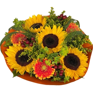 Bq Helianthus Hot L
