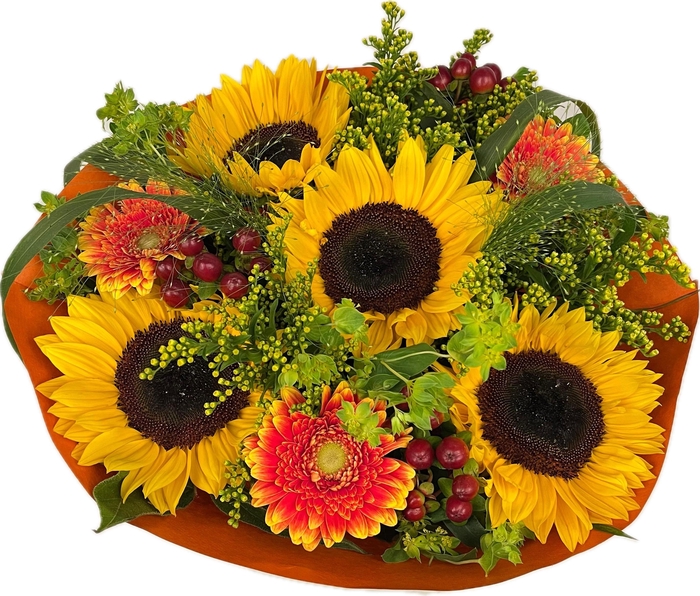 <h4>Bq Helianthus Hot L</h4>