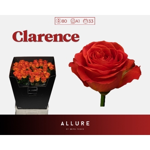 R GR CLARENCE+ ALLURE