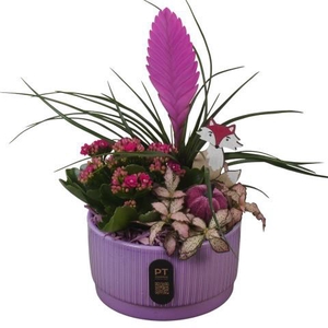 PTHI3203 Arrangement Autumn Indoor in keramiek schaal