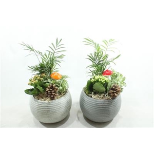 0325 KER BOLPOT GREY X2
