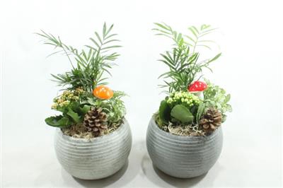 <h4>0325 KER BOLPOT GREY X2</h4>
