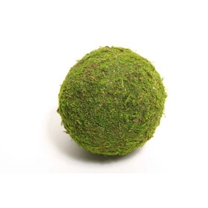 Ball Asia Moss D20