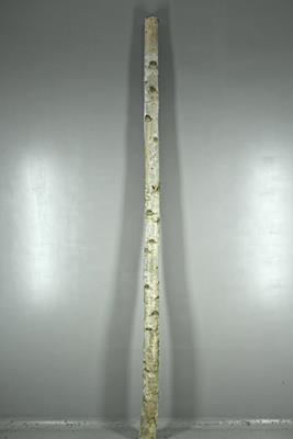 Birch Trunk 8-10cm 300cm