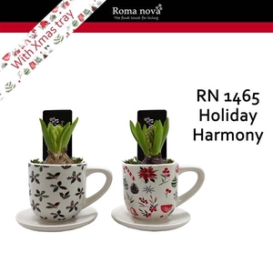 Arrangementen Hyacinthus 6%