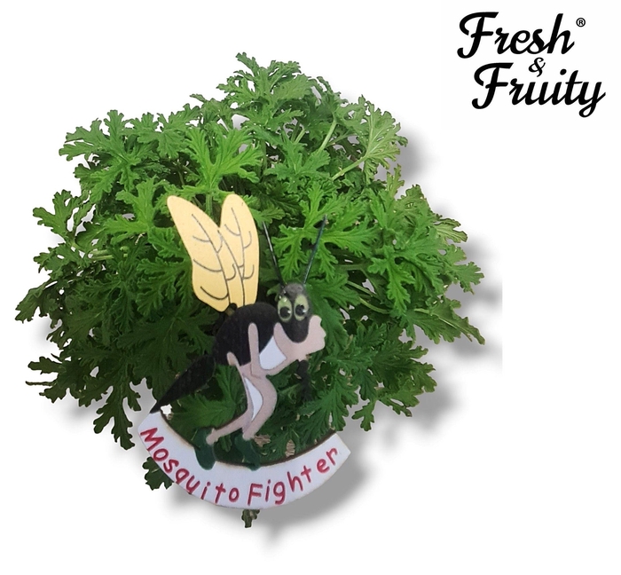 <h4>Pel. Fresh&Fruity® Mosquito Fighter MET HOUTEN STEKER</h4>