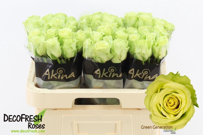 <h4>R Gr Green Generation</h4>