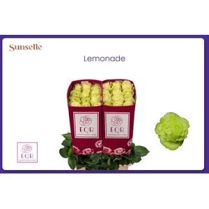 R GR LEMONADE
