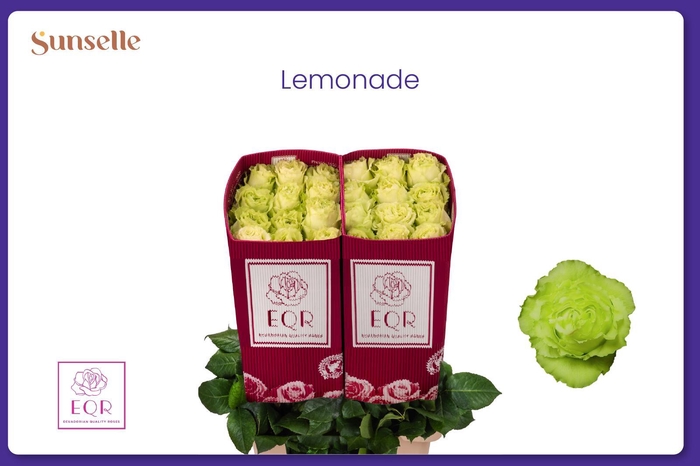 <h4>R GR LEMONADE</h4>