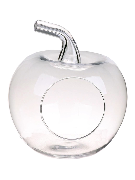 DF01-883696400 - Terrarium Apple Felesa d19xh21 clear