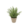 Silk Cypress Green In Pot Terra L 33x33x50cm