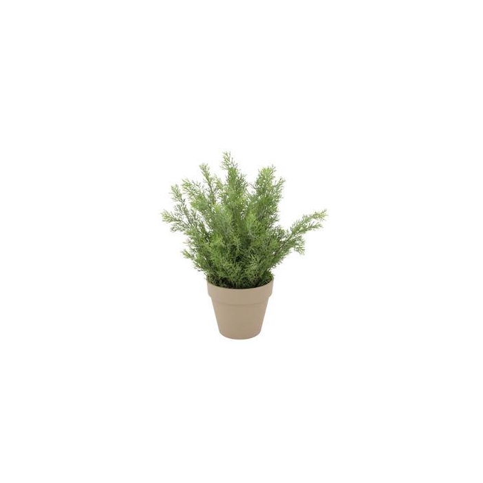 <h4>Silk Cypress Green In Pot Terra L 33x33x50cm Nm</h4>