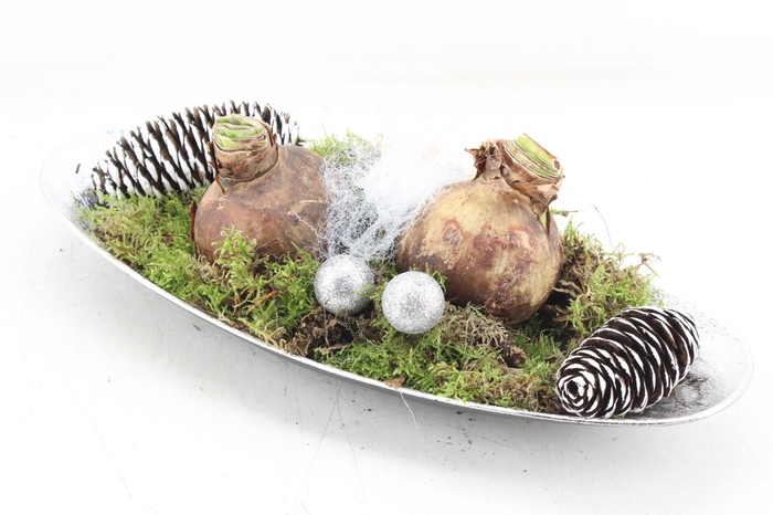 <h4>arr4 Amaryllis VL - Schotel ovaal Zilver x2</h4>