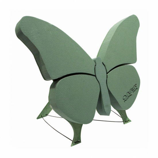 <h4>Oasis Butterfly Bioline 56x40cm</h4>