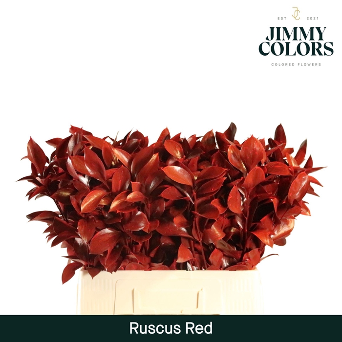 <h4>Ruscus L60 Klbh. Rood</h4>