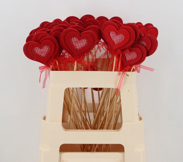 <h4>HARTJE OP STOK H%</h4>