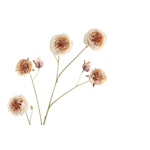 Rosa Spray Cream Pink