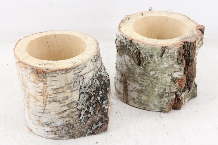 <h4>arr3 GB - Schors pot x8</h4>