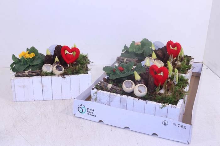 <h4>ARR TUINPLANTEN</h4>