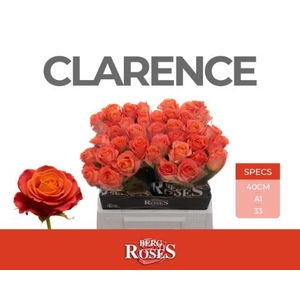 R GR CLARENCE+