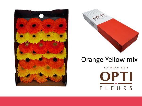 <h4>Gerbera Mix Orange - Yellow Doos</h4>