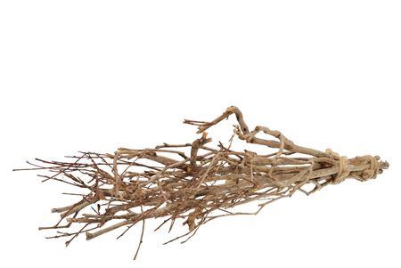 <h4>Nature Tea Bush 65cm Per Bundel Nm</h4>