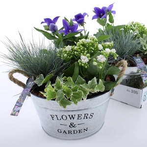 ARR TUINPLANTEN
