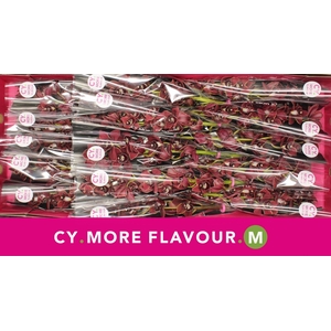 Mini cymbidium 'George Harrison' 50 cm