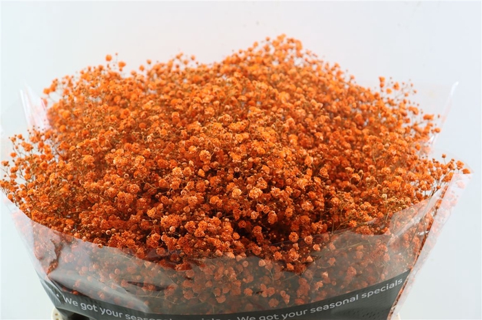 <h4>Gyps Grof Orange (dip)</h4>