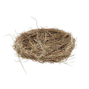 Bird Nest L35w35h8