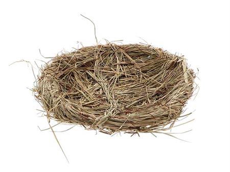 <h4>Bird Nest L35w35h8</h4>