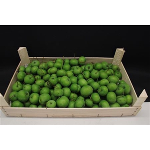 F Appels Groen X 5kg