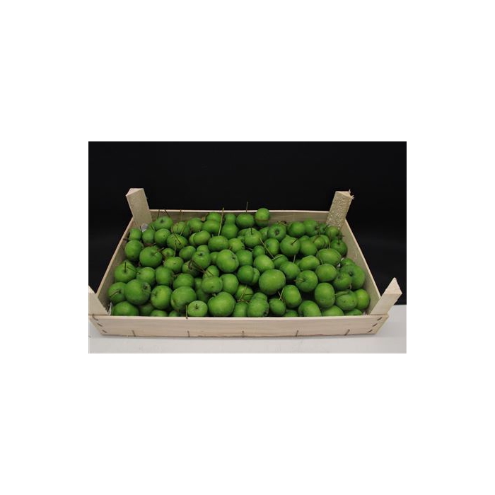 <h4>F Appel Groen 5kg</h4>