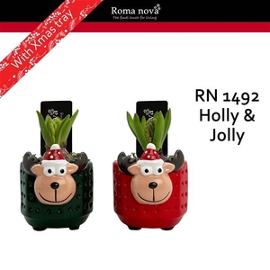Arrangementen Hyacinthus 6%