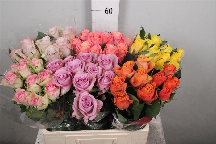 R Gr Gemengd In Fust