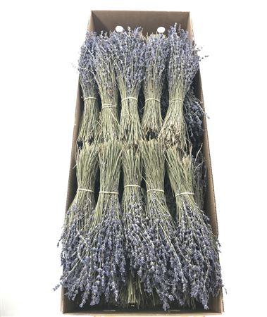 Dr Lavandula Dried Blue 80 Grams