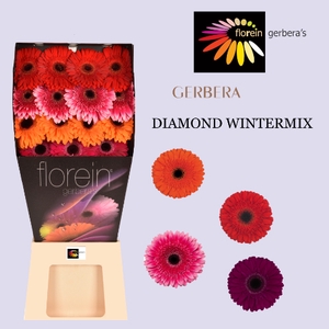 GE GR MIX Diamond wintermix 45