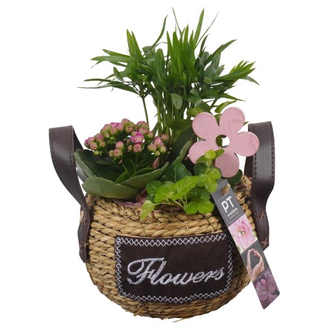 <h4>PTIB6575 Arrangement Indoor in rieten mand</h4>